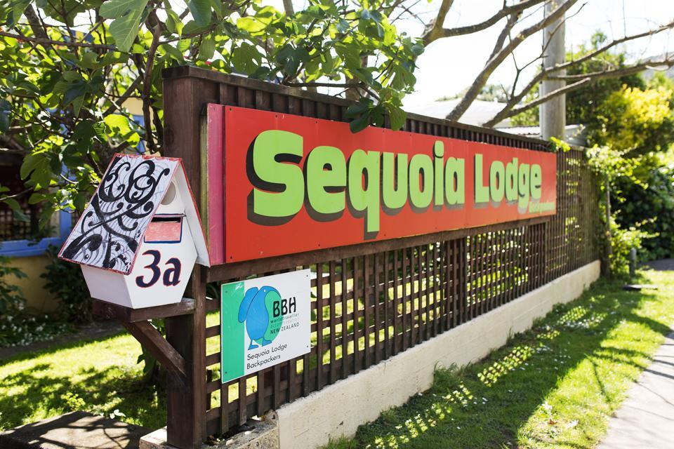 Sequoia Lodge Backpackers Піктон Екстер'єр фото